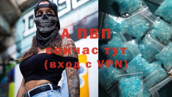 apvp Алзамай