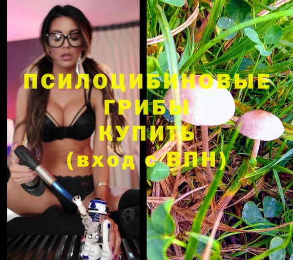 дистиллят марихуана Алексеевка