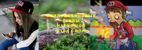 apvp Алзамай