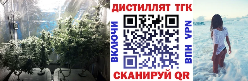 площадка наркотические препараты  Чистополь  Дистиллят ТГК жижа  магазин    KRAKEN ссылки 