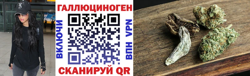 Галлюциногенные грибы Psilocybe купить закладку Чистополь
