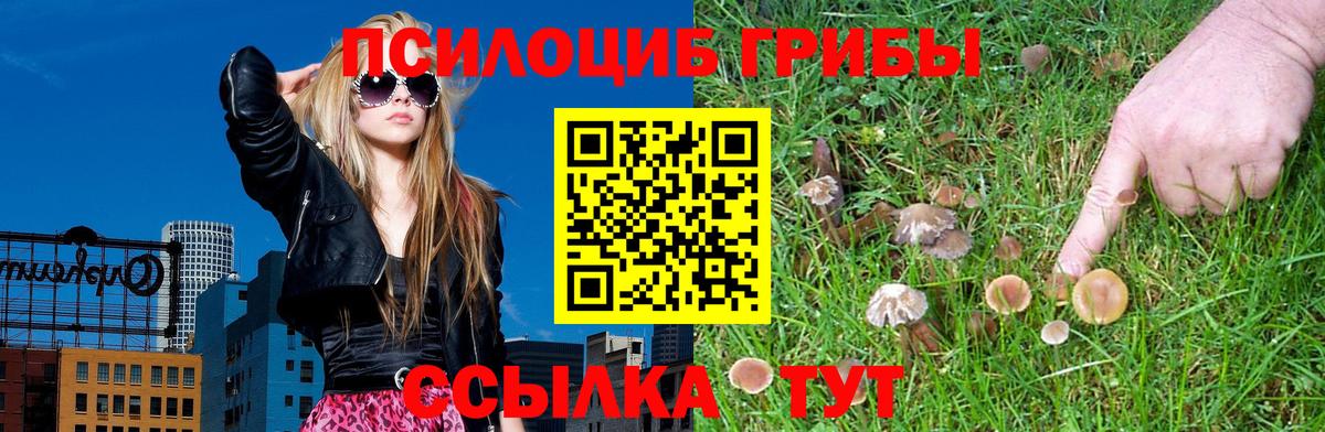 Чистополь  Псилоцибиновые грибы ЛСД  Вход с VPN 