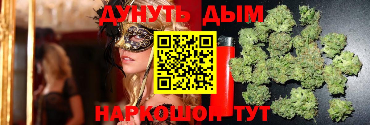 Каннабис сатива Чистополь