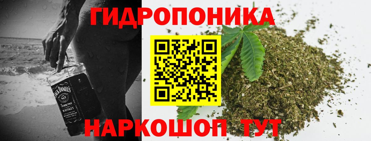 Канабис сатива  Марихуана планчик  Марихуана план  Вход с VPN  Канабис Ganja  Чистополь 